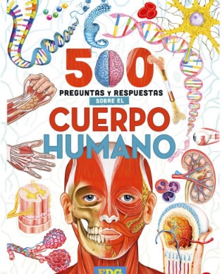 500 PREGUNTAS Y RESPUESTAS SOBRE EL CUERPO HUMANO