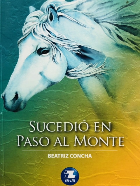 SUCEDIÁ“ EN PASO AL MONTE