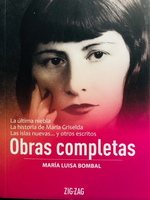 ULTIMA NIEBLA Y OTROS ESCRITOS